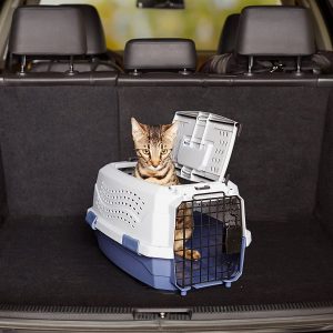 transportines-trasportines-rigidos-rígidos-para-gatos