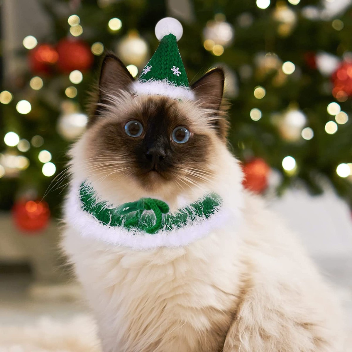 😺▷ Collares y gorros de navidad para gatos. 5 recomendaciones Mimo mi minino
